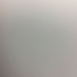 Meet your Posher, Daniella